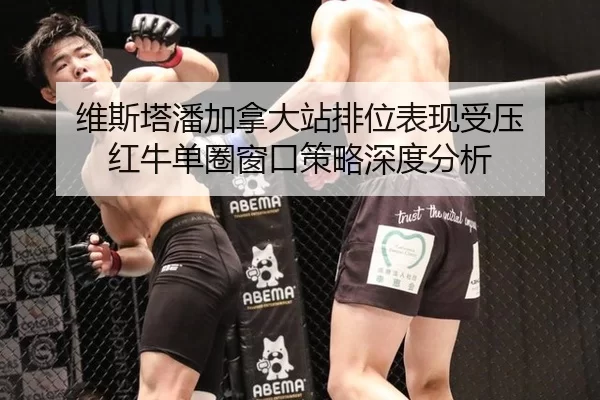 wei-si-ta-pan-jia-na-da-zhan-pai-wei-biao-xian-shou-ya-hong-niu-dan-quan-chuang-kou-ce-lve-shen-du-fen-xi-2-733.jpg